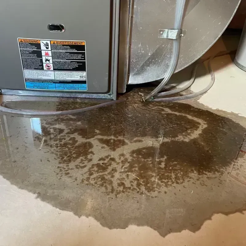 Appliance Leak Cleanup in Glasgow, MO